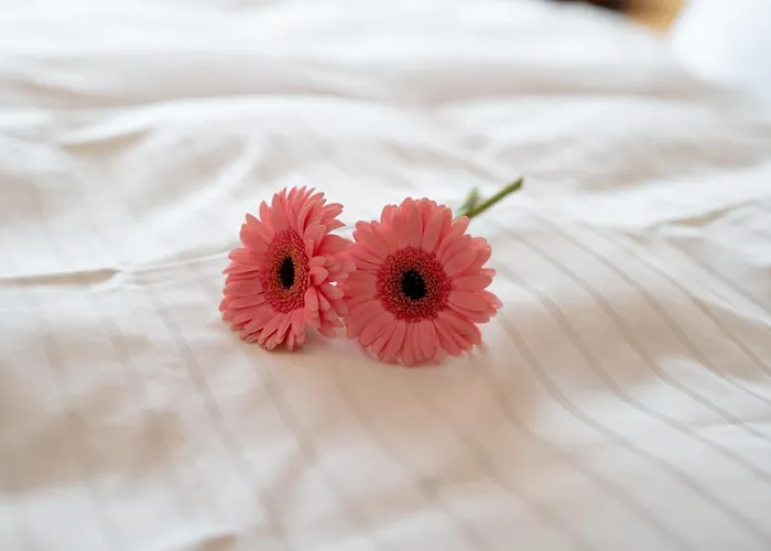 Bergkrone Guest house